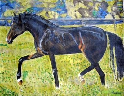 Animal - Cavalo - Acrylic On Canvas