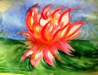 Watercolours On Corsica - The Lake Of Creno Water Lily - On Paper