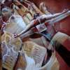 The Seal - Mixed Acrylic Paintings - By Dorina Bosancu, Figurative Abstract Painting Artist