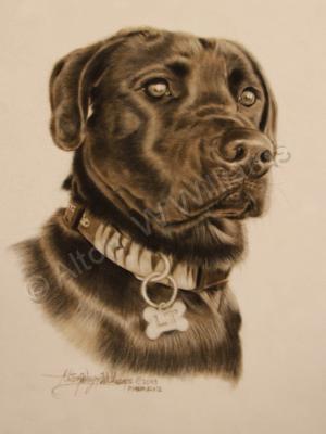 Portraits - Black Dog - Pastel