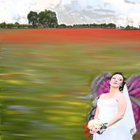Portraits - Perspective Illistration Fairy Bride - Digital