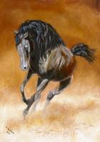 Brown Horse - Oil Paintings - By Marta Valaskova, Realism Painting Artist