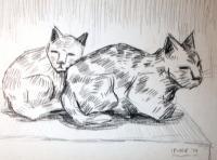 Cats - How Comfy - Conte On Paper