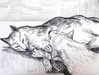 Zzz Choir - Conte On Paper Drawings - By Ipung Purnomo, Expressionism Drawing Artist
