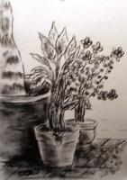 Tribute To My Mother - Beside The Big Pot - Charcoal On Paper