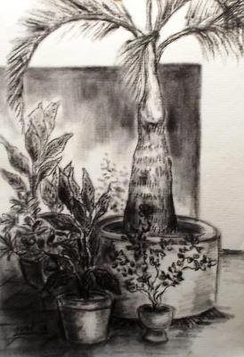 Tribute To My Mother - Left Front Yard - Charcoal On Paper