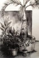 Tribute To My Mother - Left Front Yard - Charcoal On Paper
