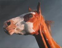Alert - Acrylic Paintings - By Sally Lancaster, Realism Painting Artist