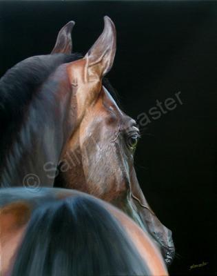 Equestrian Art - Arabian Beauty - Acrylic