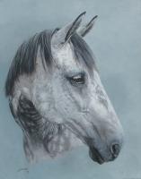 Callan - Commissioned Portrait - Acrylic Paintings - By Sally Lancaster, Realism Painting Artist