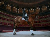 Commissions - Lee Pearson Cbe  Gentleman  Royal Albert Hall - Commission - Acrylic