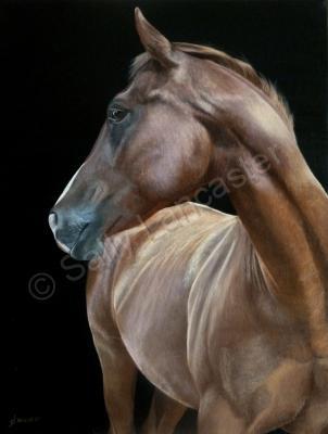 Equestrian Art - Chestnut Dreaming - Acrylic