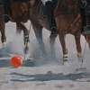 Beach Ball - Acrylic Paintings - By Sally Lancaster, Realism Painting Artist