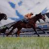 The Finish - Acrylic Paintings - By Sally Lancaster, Realism Painting Artist