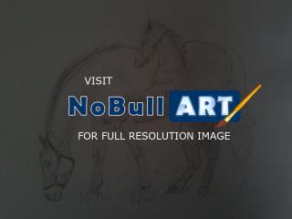 Sketches - Playful Foal - Animals