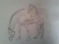 Playful Foal - Animals Drawings - By Jade Art, Realism Drawing Artist