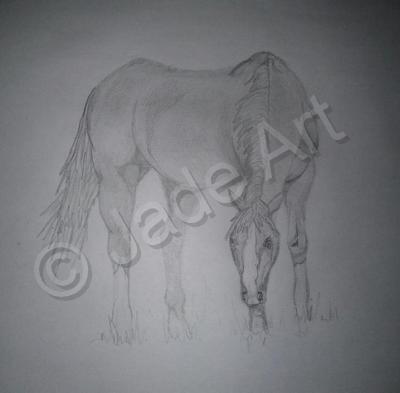 Sketches - Grazing - Animals