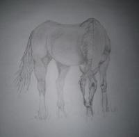 Grazing - Animals Drawings - By Jade Art, Realism Drawing Artist