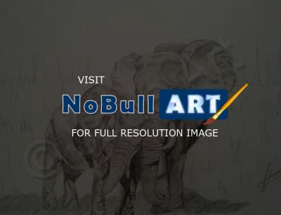 Sketches - Love - Animals