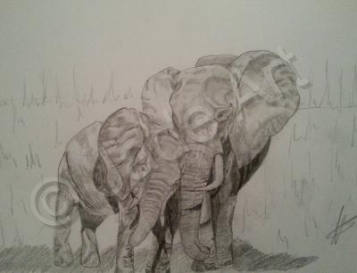 Sketches - Love - Animals