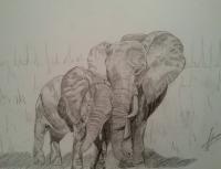 Love - Animals Drawings - By Jade Art, Realism Drawing Artist