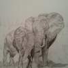 Love - Animals Drawings - By Jade Art, Realism Drawing Artist