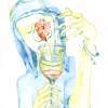 Component - - Drawings - By Basovich Lilya, - Drawing Artist