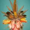 Mahupati - Clay And Feathers Sculptures - By Sue Lamarr Kramer, Decorative Clay Work Sculpture Artist