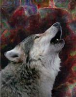 Call Of The Wild - Acrylic On Canvas Paintings - By Sue Lamarr Kramer, Realistic Painting Artist