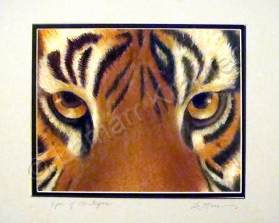 Paintings - Eye Of The Tiger - Pastel