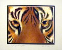 Eye Of The Tiger - Pastel Paintings - By Sue Lamarr Kramer, Realistic Painting Artist