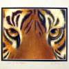 Eye Of The Tiger - Pastel Paintings - By Sue Lamarr Kramer, Realistic Painting Artist