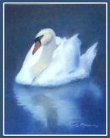 Paintings - The Swan - Pastel