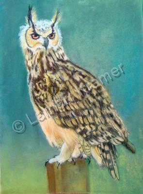 Pastel Paintings - Great Horned Owl - Pastel