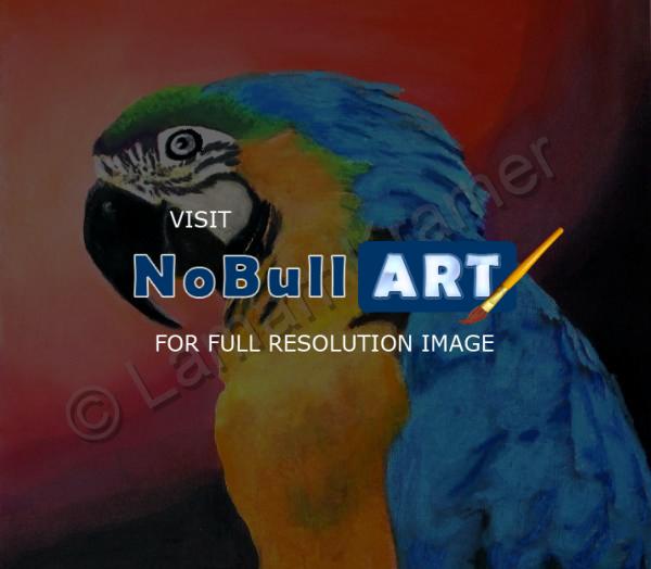 Paintings - Parrot - Oil Pastel