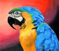 Parrot - Oil Pastel Paintings - By Sue Lamarr Kramer, Realistic Painting Artist