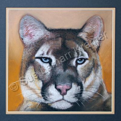 Pastel Paintings - Cougar - Pastel