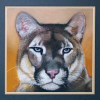 Pastel Paintings - Cougar - Pastel