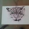 Snow Leopard - Charcol Drawings - By Morgan Miller, Realistic Drawing Artist