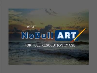 North Padre Island - Untitled - 35Mm Camera