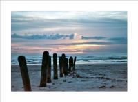 North Padre Island - Untitled - 35Mm