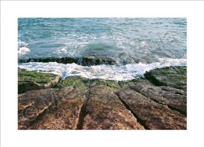 North Padre Island - Untitled - 35Mm