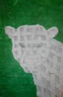 Crhs - Weaved Jaguar - Pencil Colored Pencil Silver P