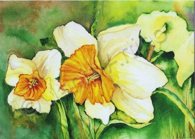 Green - Daffodils - Watercolor Print