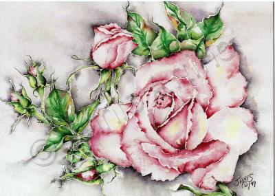 Green - Roses In My Garden - Watercolor