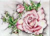Green - Roses In My Garden - Watercolor
