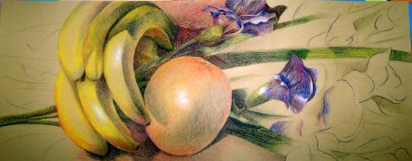 Still Lifes - Market - Colored Pencil On Paper