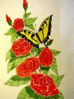 Butterfly And Rose - Colored Pencil Water Color Mixed Media - By Robert Nowlin, Graphic Illustration Mixed Media Artist