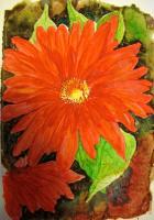 Flowers - Red Flower - Watercolor
