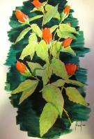 Flowers - Rose Buds - Watercolor